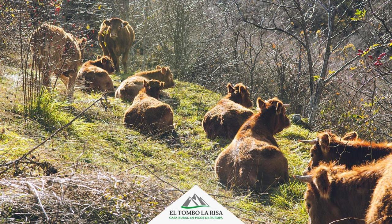 Santa Maria de Valdeon Casa Rural El Tombo La Risa المظهر الخارجي الصورة